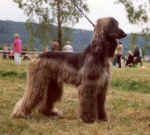 Bel Asisa.JPG (20041 Byte)