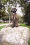 IMG00389.JPG (22412 Byte)