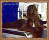 Bild-01.JPG (22032 Byte)