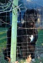 fred-01-05.JPG (23974 Byte)