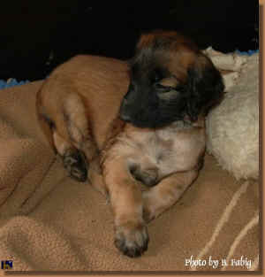 DSC_2948.jpg (105706 Byte)