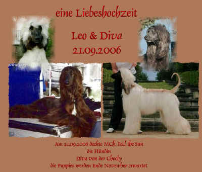 leo-diva-2006.jpg (140239 Byte)